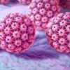 une histoire de papillomavirus