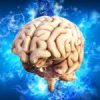 Intelligence humaine
