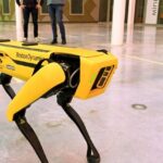Un robot chien