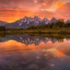 Reflets - paysage