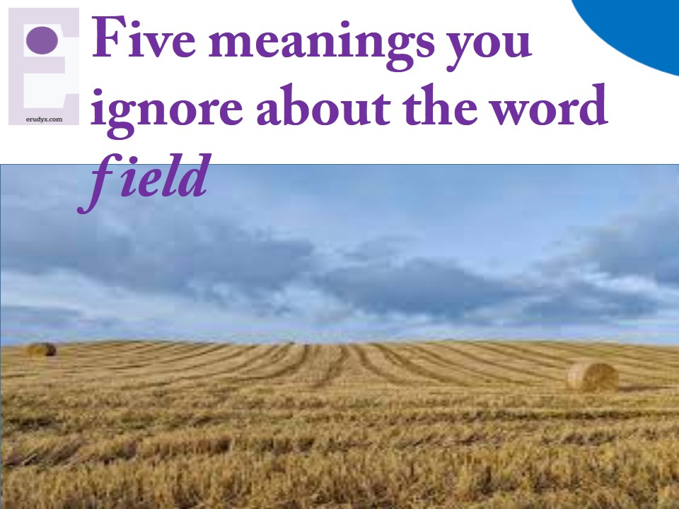 Five (05) meanings that you ignore about the word « field »